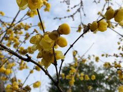 -白塘生态植物园