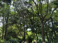 -成都市活水公园