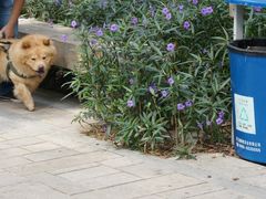 -铁路文化公园