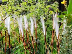 -鲁山人日本料理·放题·套餐(松卫北路店)