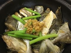 -欢乐海岸美食联盟