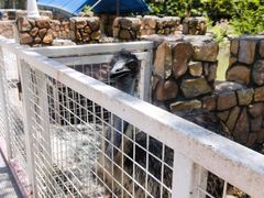 -金庭庄园酒店-停车场