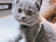 -上味馆南翔小笼(杏山路店)