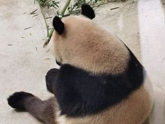 -杭州动物园