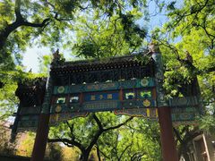 -北京国子监胡同