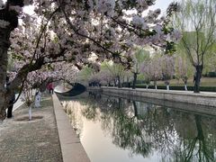 -元大都城垣遗址公园