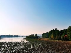-东湖落雁景区