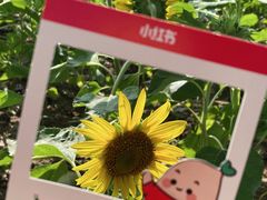 -厦门园林博览苑