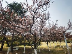 -汇泉广场