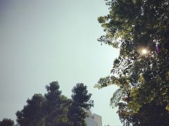 -百林公园-两江幸福广场