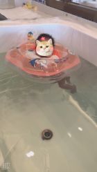 -琅悦月子会所(香格里拉旗舰店)