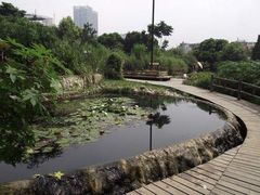 -成都市活水公园