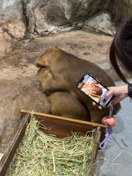 -Zoolung Zoolung动物主题公园(海信广场店)