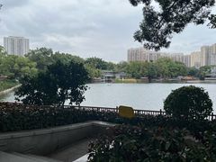 -荔湾湖公园