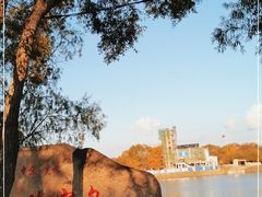 -珍宝岛