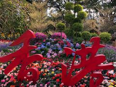 -海心沙亚运公园