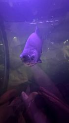 -Zoolung Zoolung动物主题公园(海信广场店)