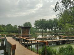 -东郊湿地公园
