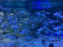 -成都浩海立方海洋公园