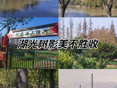 -上海长兴岛郊野公园