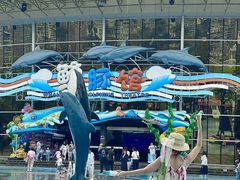 -海合安成都极地海洋公园