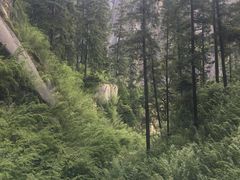 -墨白私房菜·广东菜 粤菜