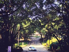 -麓湖高尔夫球俱乐部