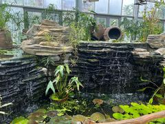 -国家植物园南园