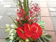 -静岸花卉园艺(三星坊店)