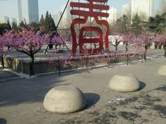 android_upload_pic-沈阳中山公园