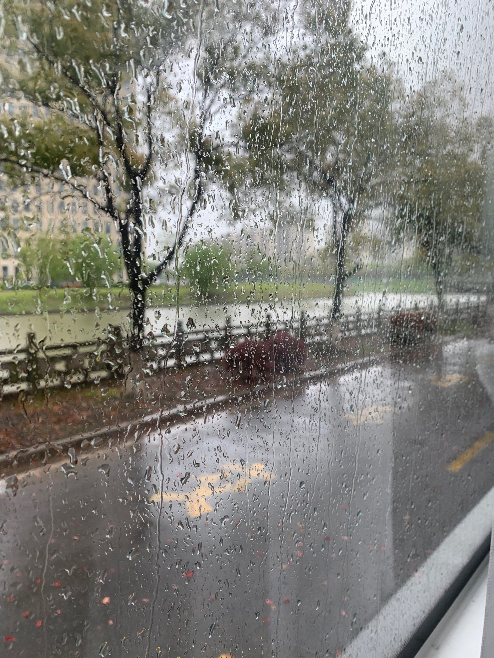 霏霏春雨细如丝