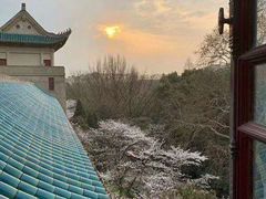 -武汉大学-樱园
