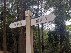 -火炉山森林公园