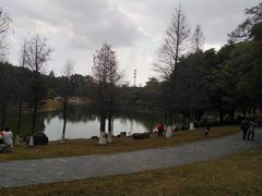 -松山湖梦幻百花洲