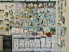 -爱妮康宠物医院·干细胞免疫细胞·肿瘤·心脏(张江店)