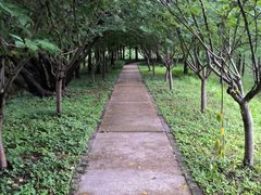 -昆山城市生态森林公园