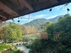 -中国茶叶博物馆(双峰馆区)