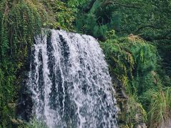 -西郊宾馆·1921餐厅