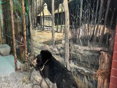 -北京动物园-畅观楼