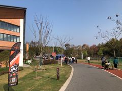 -上海长兴岛郊野公园