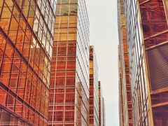 -香港皇家太平洋酒店