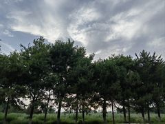 -汉长安城未央宫国家考古遗址公园