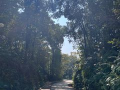 -南宁良凤江国家森林公园