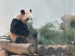 -杭州动物园