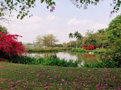 -海珠湖公园