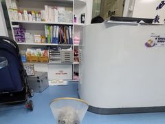 -成都民大动物医院