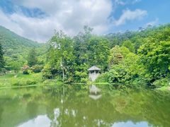 -黔灵山公园