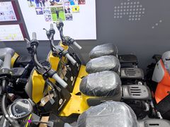 -九号电动车(安定门内大街店)