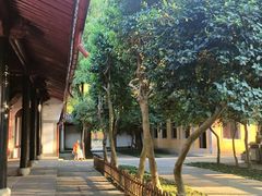 -阿育王寺