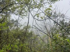 -十九峰景区-倒脱靴